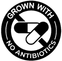 دام زنده بدون آنتی بیوتیک